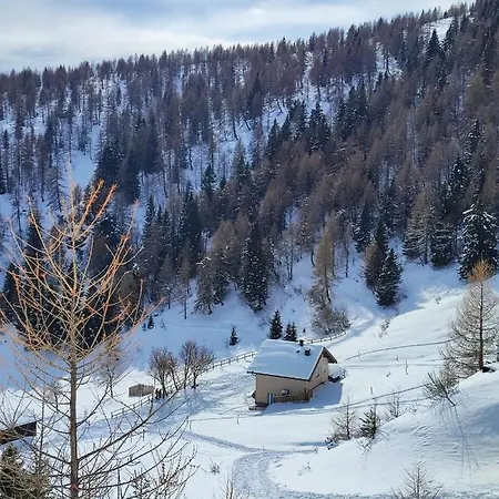Il Riccio Del Castagno * Novaledo