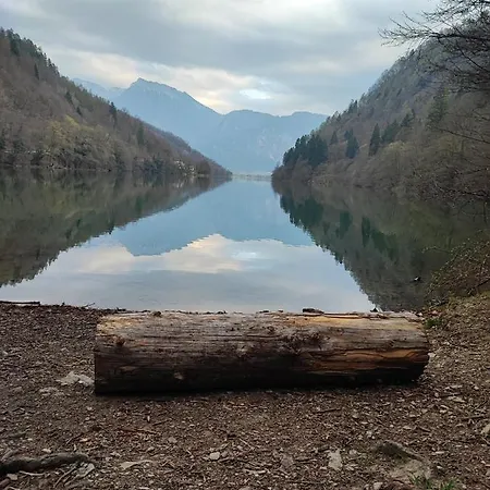 Il Riccio Del Castagno * Novaledo