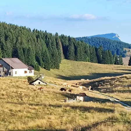 Apartment Il Riccio Del Castagno